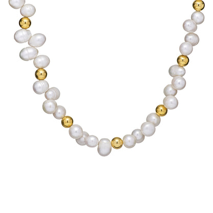 Dina Choker