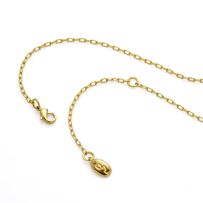 Anna Collar